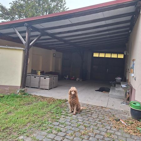 Ferienhaus Herztor Bad Bibra Экстерьер фото