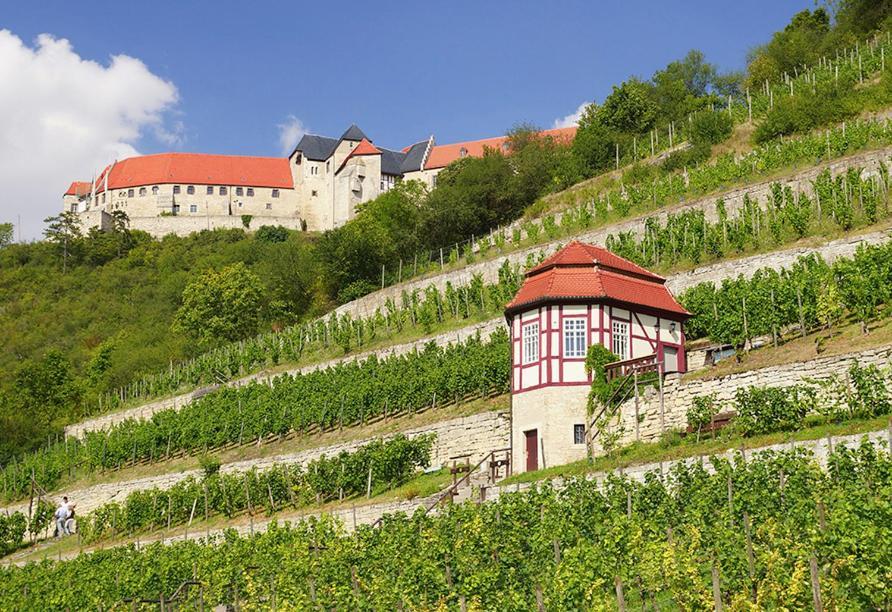Ferienhaus Herztor Bad Bibra Экстерьер фото