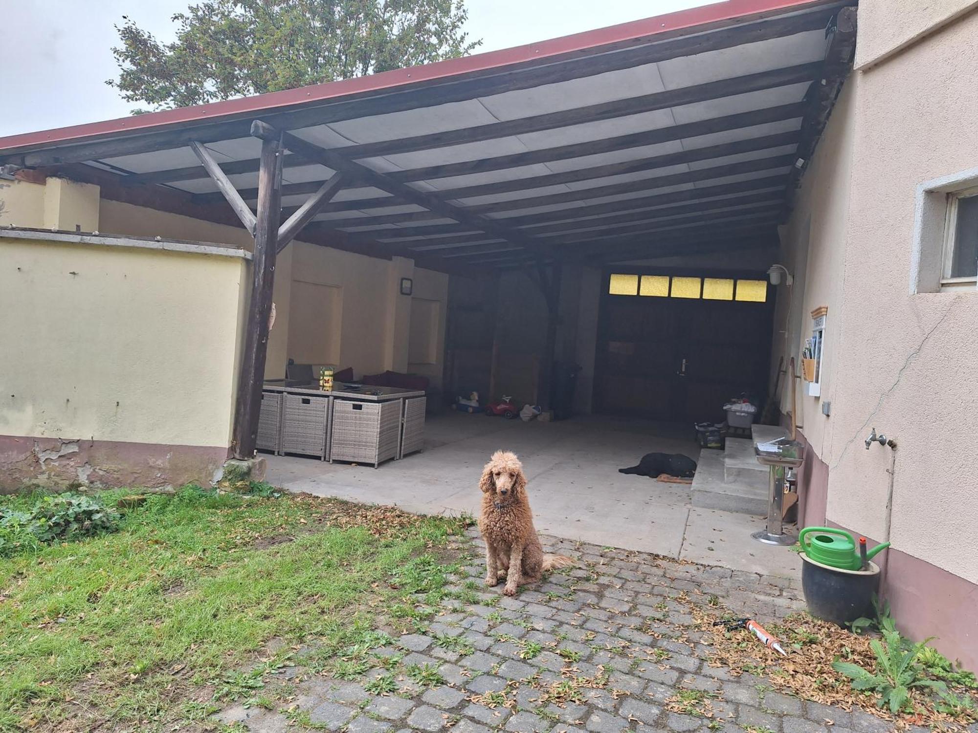 Ferienhaus Herztor Bad Bibra Экстерьер фото